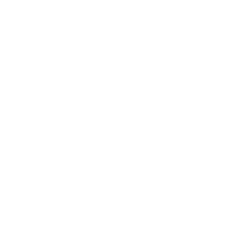 دليل dblue road